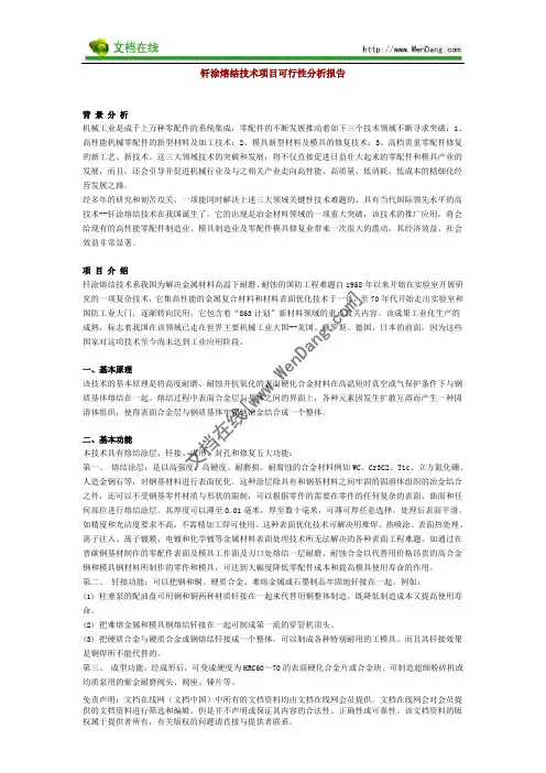钎涂熔结技术项目可行性分析报告