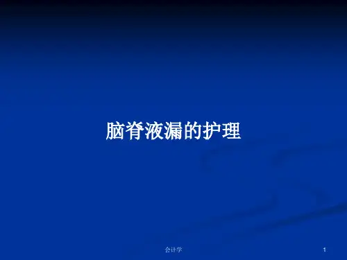 脑脊液漏的护理PPT教案