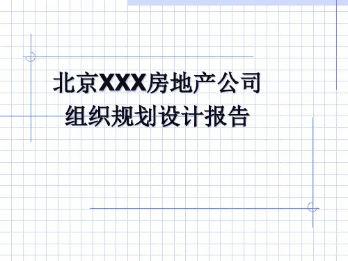 北京XXX房地产公司组织规划设计报告