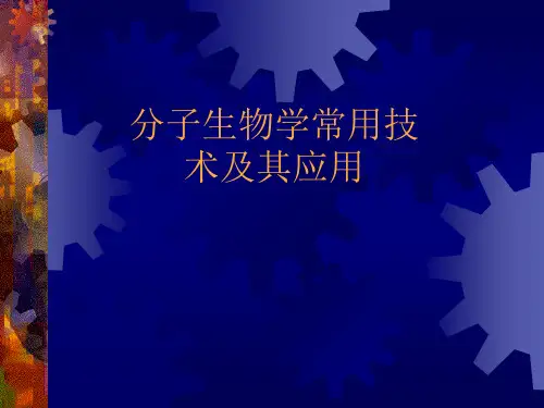 分子生物学常用技术及其应用