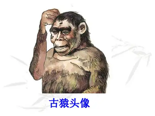 最新人教版初中初一七年级历史上册七年级上册历史_第一课祖国境内的远古居民课件