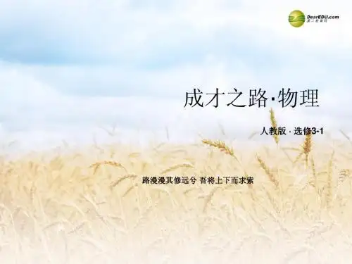 2013-2014学年高中物理 3-3 几种常见的磁场课件 新人教版选修3-1