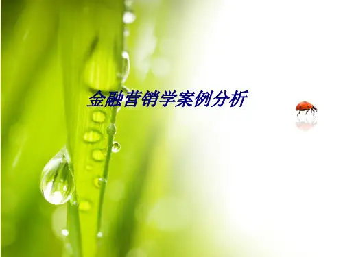 金融营销学案例分析专题培训课件