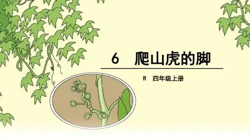 6.爬山虎的脚-1
