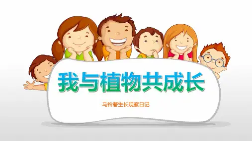 我与植物共成长土豆 ppt课件