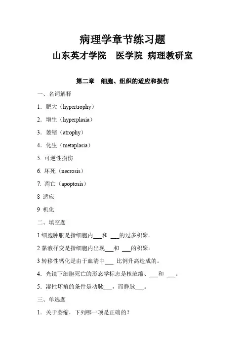 病理学章节练习题