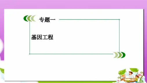 人教版高中生物选修3专题1《基因工程专题归纳》ppt课件