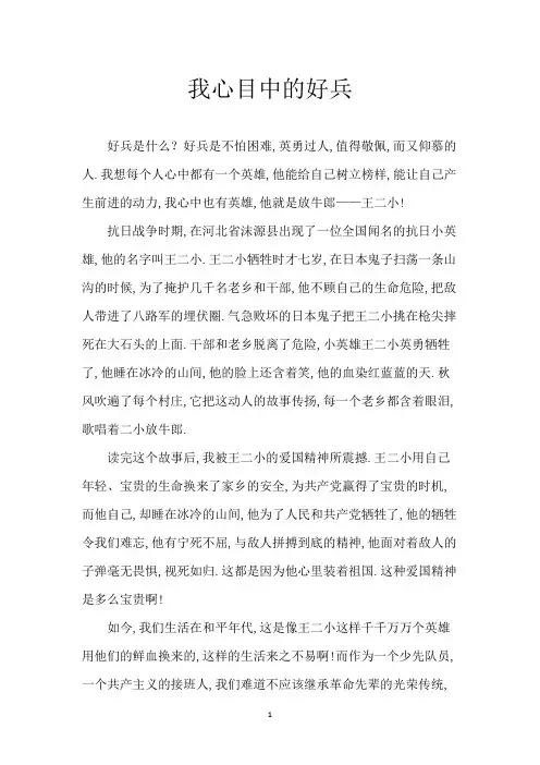 我心目中的好兵