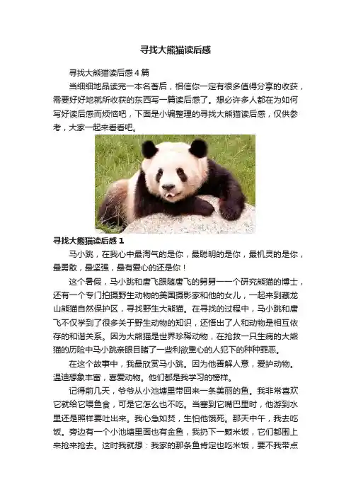 寻找大熊猫读后感 2