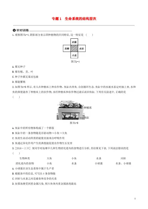 中考生物复习方案专题01生命系统的结构层次