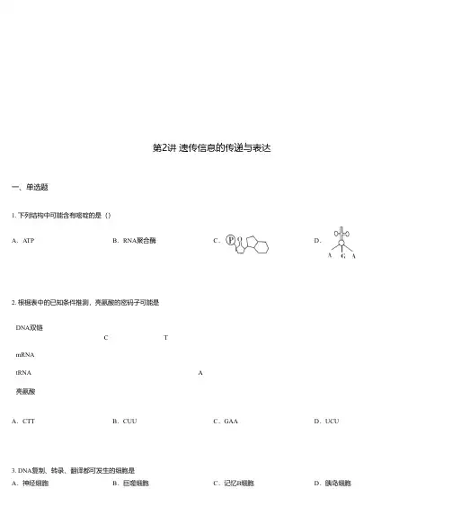 第2讲 遗传信息的传递与表达