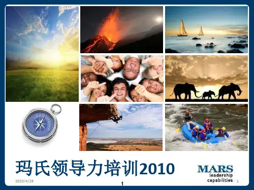 玛氏领导力
