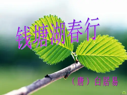 钱塘湖春行ppt课件