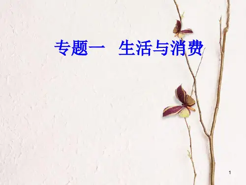 高考政治一轮复习 经济生活 专题一 生活与消费 考点1 货币的本质课件.ppt