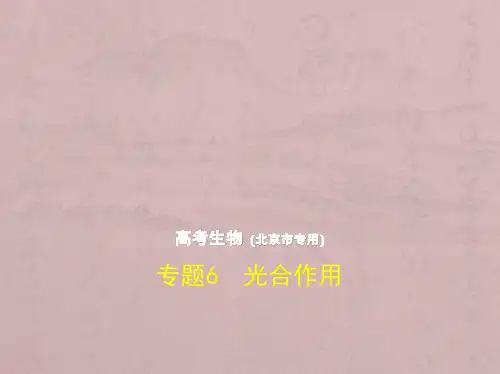 2019版高考生物(5年高考+3年模拟)精品课件北京专版：专题6 光合作用(共124张PPT)