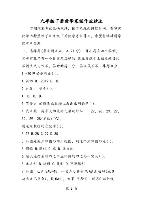 九年级下册数学寒假作业精选