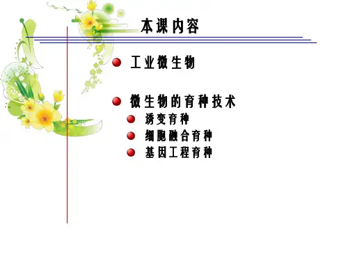 2、菌种与育种技术