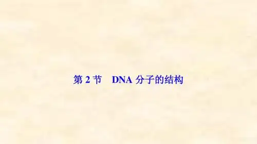 2018-2019学年高一生物人教版必修2课件：第3章 第2节 DNA分子的结构