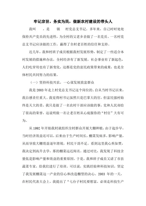 村党支部书记事迹材料