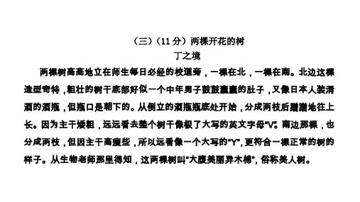 阅读理解-散文-两颗开花的树(校对答案版