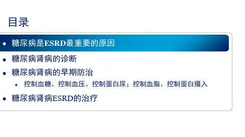 糖尿病肾病课件