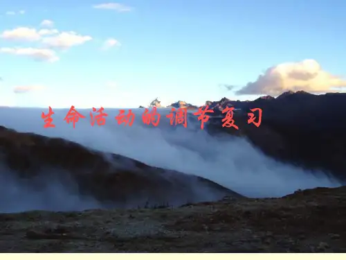 八年级科学生命活动的调节