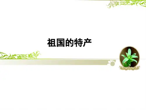 祖国的特产