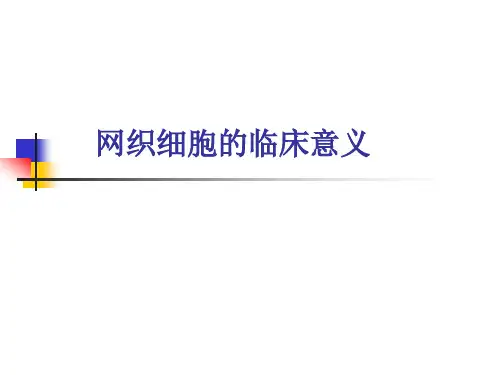 网织红细胞意义