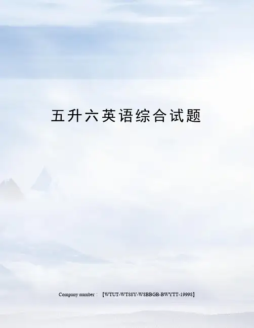 五升六英语综合试题