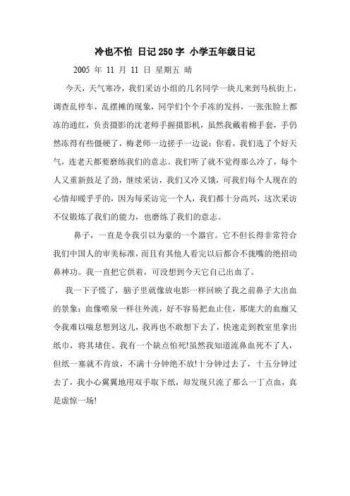 冷也不怕 日记250字 小学五年级日记