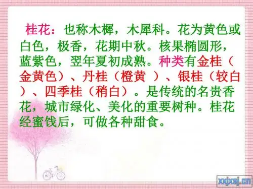 7、桂花雨(完美版)
