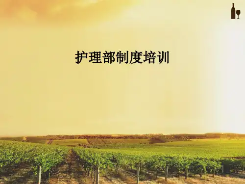 护理部制度培训PPT课件