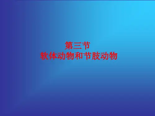 第三节 软体动物和环节动物
