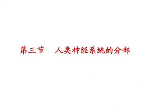 神经系统概述-2