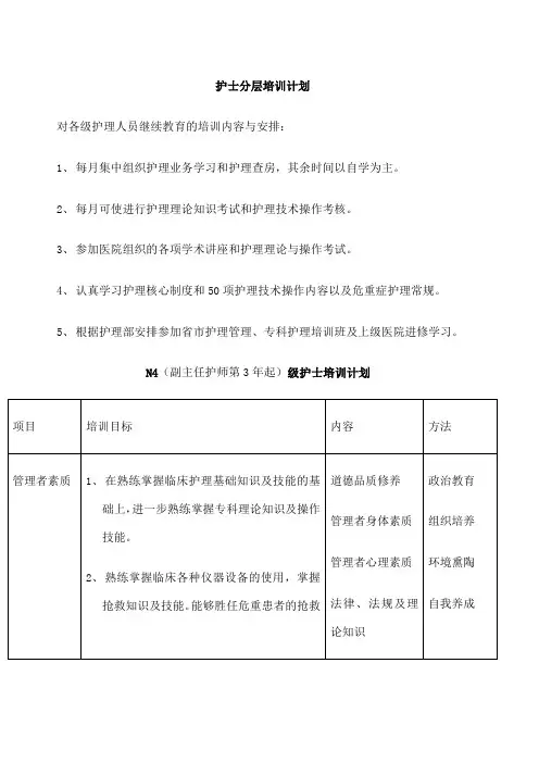 护士分层培训计划 2