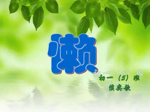 十大最懒动物