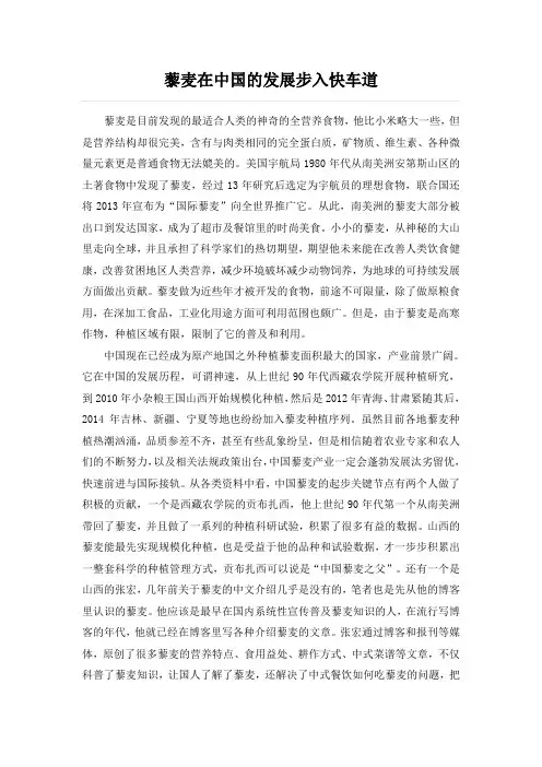 藜麦在中国的发展步入快车道
