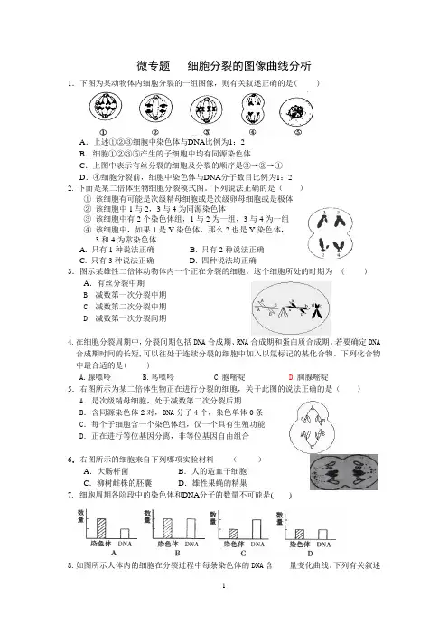 必修2 微专题2 细胞分裂的曲线分析