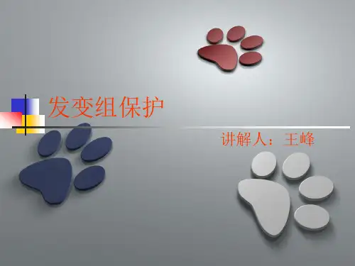 发变组保护保护课件