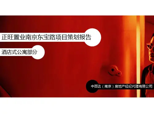 南京某公寓项目营销提案