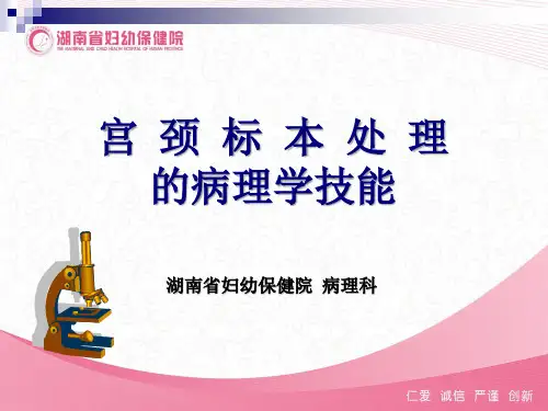 宫颈标本处理的病理学技能