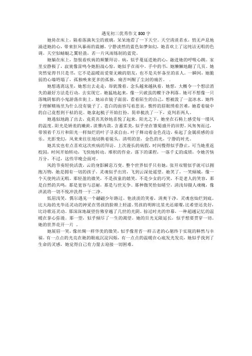 遇见初三优秀作文800字