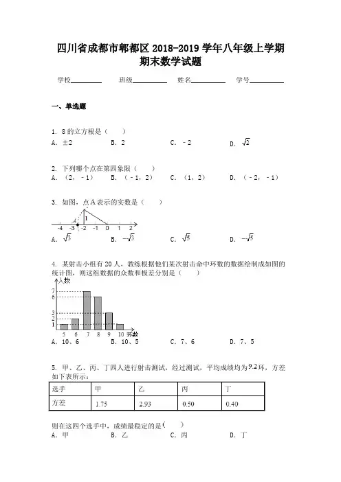 四川省成都市郫都区2018-2019学年八年级上学期期末数学试题