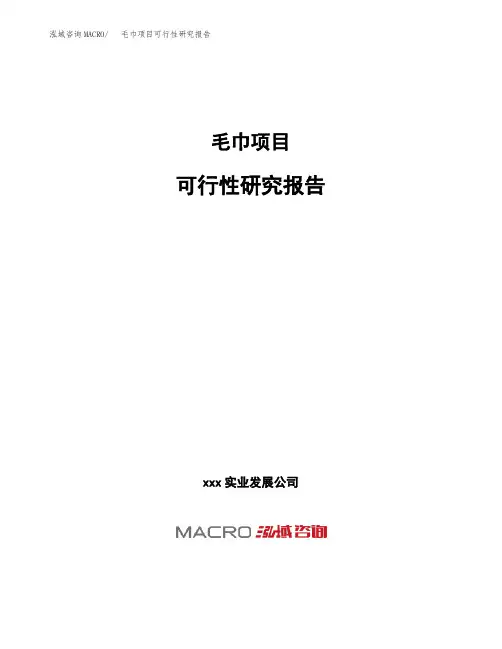 (投资参考建议模板)毛巾项目可行性研究报告