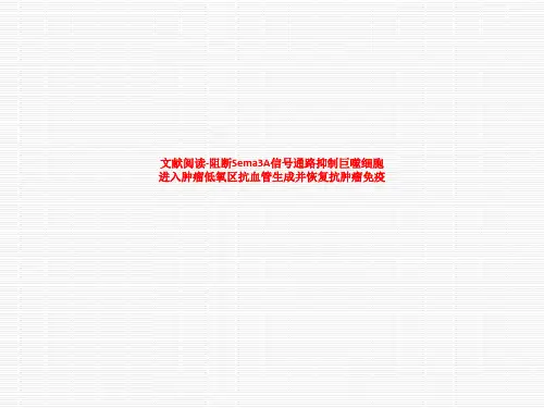 [课件]文献阅读-阻断Sema3A信号通路抑制巨噬细胞进入肿瘤低氧区抗血管生成并恢复抗肿瘤免疫PPT