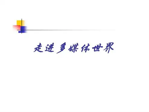 走进多媒体世界1