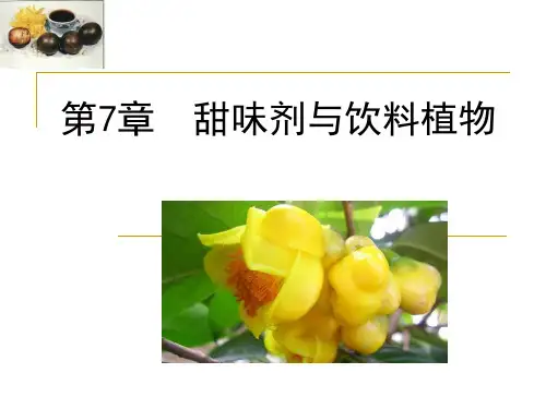 第7章  甜味剂与饮料植物