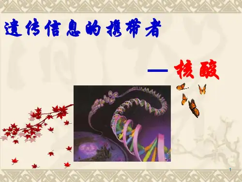 高一生物必修一:DNA