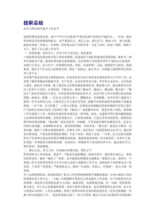 挂职总结