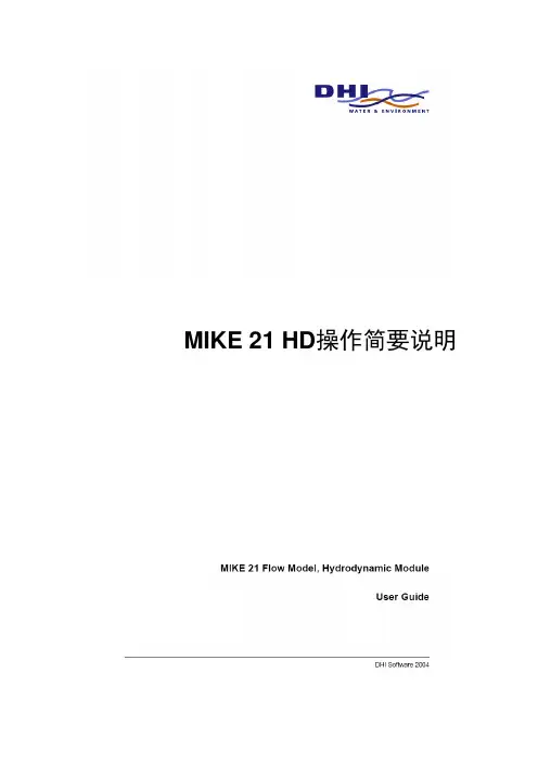 mike21操作实例---矩形网格讲解